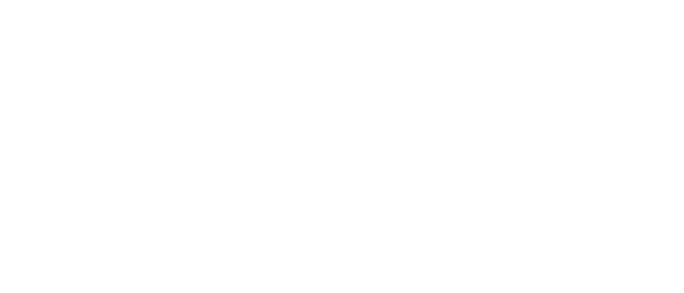Bites Burgers